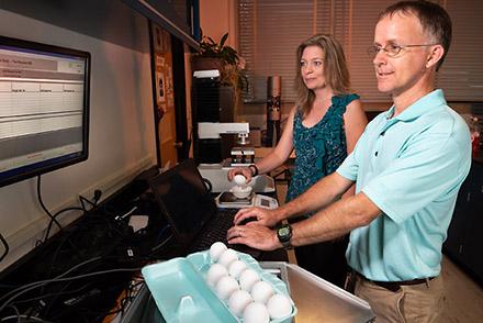 ARS technicians weigh eggs and record the data during a 15-week study of 5,400 eggs.