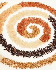 Different colored rice grains arranged in a spiral pattern