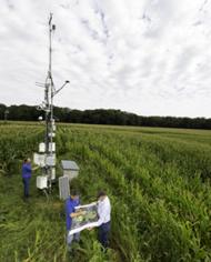 Three scientists collecting sensor data in a crop field