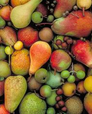 Pears, various sizes and color.