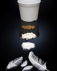 Chicken feathers, pellets made from chicken feathers and a biodegradable pot