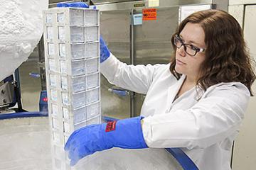 Technician April Stanley retrieves specimens from a liquid-nitrogen freezer.