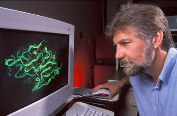 Chemist Vince Edwards examines a computer graphic image of an enzyme model used in the design of cotton-based wound dressings.