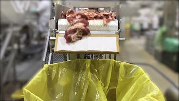 Meat rubs across the continuous sampling device (CSD) cloth into collection bin.