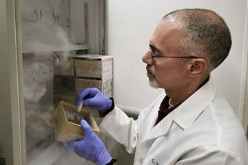 A scientist removing a vial from a collection of frozen isolates