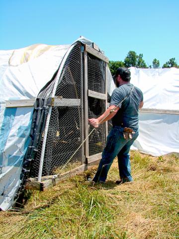 A veteran moving a chicken tractor across a pasture