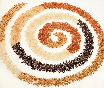 Different colored rice grains arranged in a spiral pattern