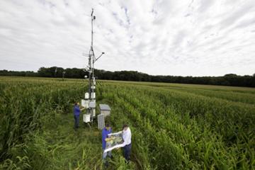 Three scientists collecting sensor data in a crop field