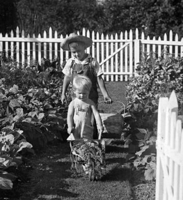 historical photo of two boys gardening
