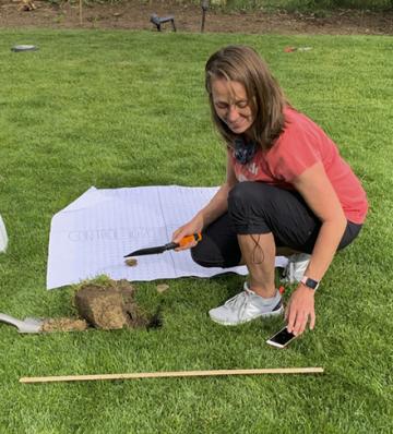 A woman digging a small hole in a yard and looking at an app on her mobile phone