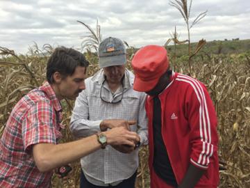 Three men looking at a mobile device in a crop field