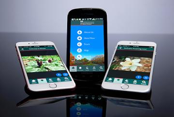 Three cell phones displaying the U.S. National Arboretum app