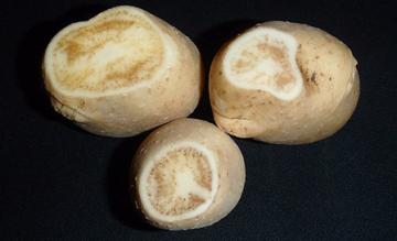Potatoes infected with zebra chip disease show dark, stripelike symptoms in the tissue.