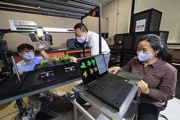 Insuck Baek and Jianwei Qin the camera lens on the hyperspectral imaging monitoring system while Diane Chan prepares to process the images on a computer.