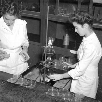 Two women examining agar plates in the Northern Regional Research lab