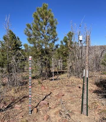 A snowtography transect crosses a clearing created by the severe Coon Creek Fire in 2000. This transect will capture the ongoing effects of the fire on snowpack. In the near right a camera is mounted facing the painted stakes.