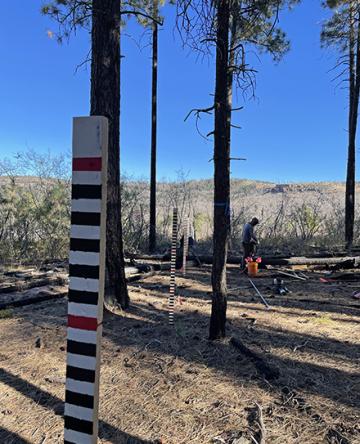 A snowtography transect crosses from a mature ponderosa pine forest into a clearing created by the severe Coon Creek Fire in 2000.