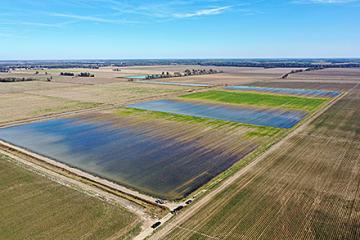 Aerial view of flooded fields after a corn harvest.