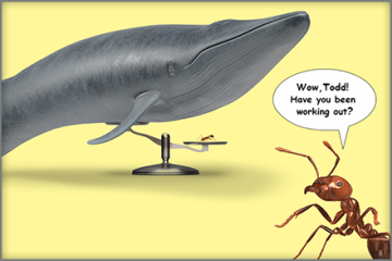 Illustration of a whale and a fire ant on opposite ends of a scale.