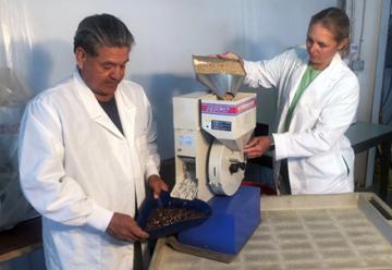 Two scientists using a machine to shell rice.