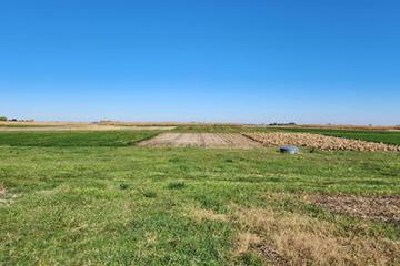 Two organic plots covered in low green grass-type vegetation lie behind a water collection pit.