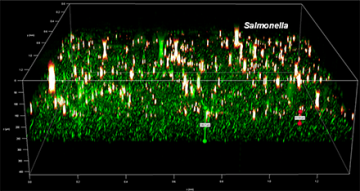 A three-dimensional axis frames a cluster of green points of varying heights, accented with a sprinkling of red and white spots dispersed throughout