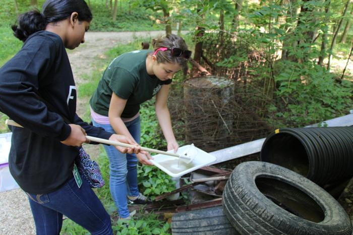 Two researchers collecting mosquito larvae from an abandoned tire.
