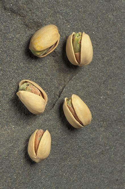 pistachios in the shell