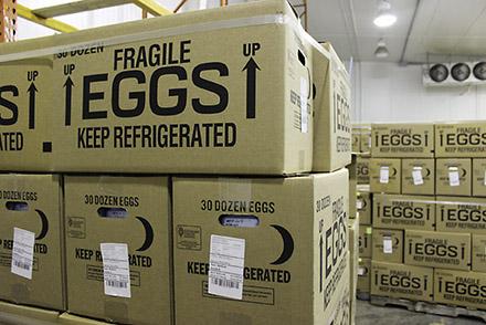 Washed and packaged eggs in refrigeration awaiting distribution.