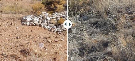 Before and after photos of Watershed 6 Check Dam 30 in November 2009 and December 2020.