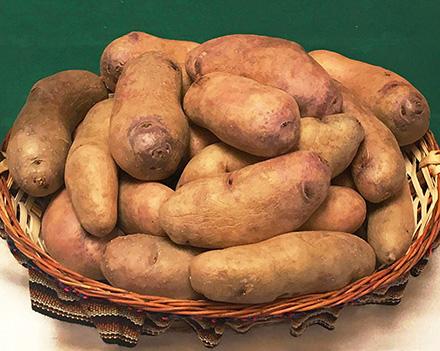Wiñay potatoes