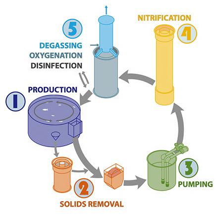 Drawing of a recirculating aquaculture system.