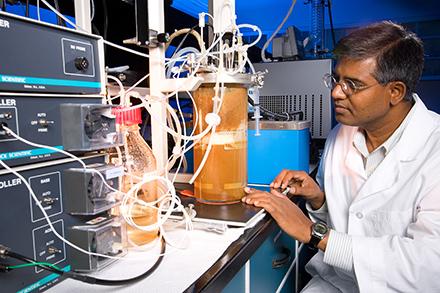 Nasib Qureshi working with a fermenter.