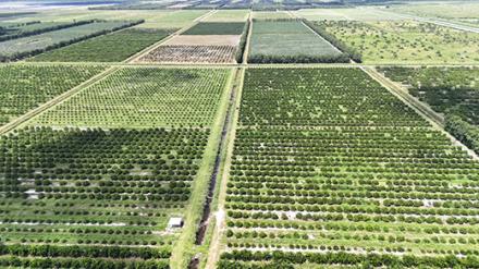 Aerial view of of the new Grove-First test site.