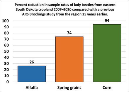 Infographic showing the percentage of reduction in sample rates of lady beetles from eastern South Dakota cropland compared to a study of the region 25 years ago. 