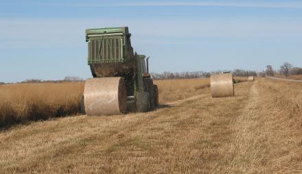 A machine rolls hay into round bales in a field