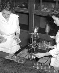Two women examining agar plates in the Northern Regional Research lab