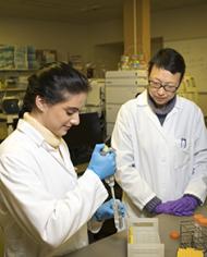 Two scientists examining vitamin K from a food sample.