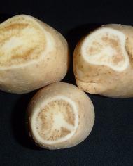 Three light brown-skinned potatoes are shown with cross-sectional removed slices revealing a mottled, diseased interior in each.