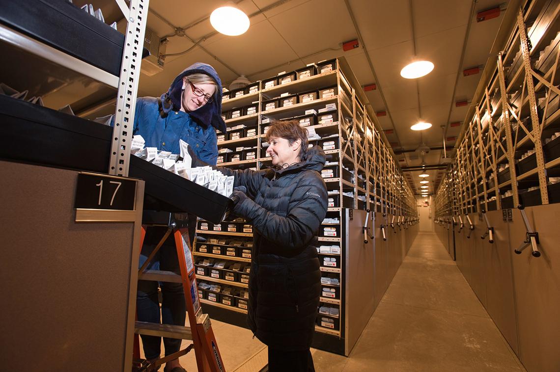 National SeedStorage Lab